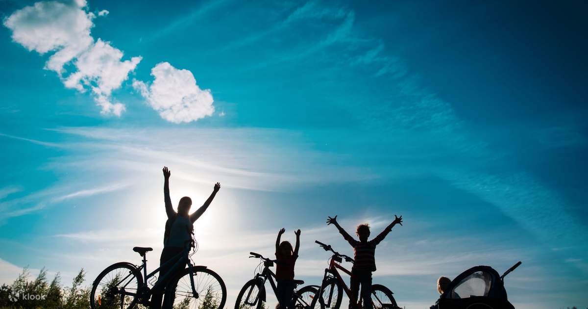 Explore the Beauty of Salzburg City and Countryside Mountain Bike